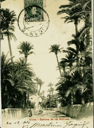 POSTAL ELCHE. Camino de los molinos, PZ 10076, circulada y escrita 1904