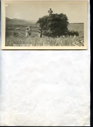 POSTAL COMERCIAL, cuño DAVID TORRECILLAS, HARO, edición imp Viela,Haro escrita y circulada en 1938, guerra civil cuño CENSURA MILITAR HARO