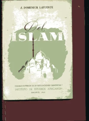 DEL ISLAM