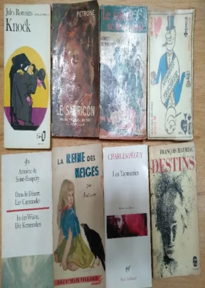 8 novelas de LITERATURA EN FRANCES, las de la foto