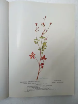 ALCAZAR FERNANDEZ-MORENO, FITOLOGIA GRAFICA hervario naturalista, 1995