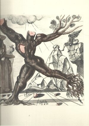 LAMINA DALÍ sin numerar