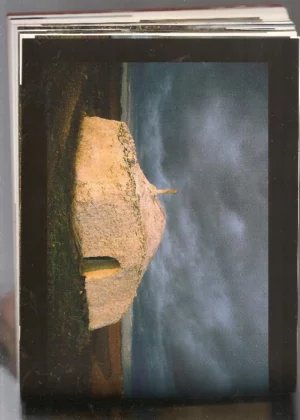 L´ HABITATGE TEMPORAL, L´HOME I LA PEDRA 2