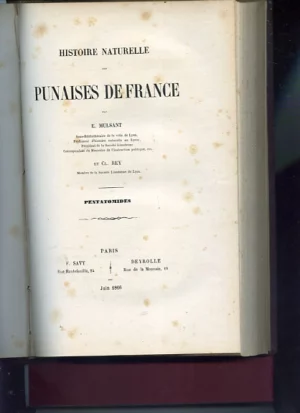 HISTOIRE NATURELLE DES PUNAISES DE FRANCE, LYGEIDES PIRRHOCORIENS LYGEENS