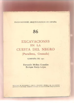 EXCAVACIONES EN LA CUESTA DEL NEGRO PURULLENA GRANADA
