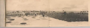 30 POSTALES en album PEDRO DOMECQ Y Cia, las bodegas, entrada de los operarios... Visita SSMM marzo 1915.. Bodegas.. Embotellado.. Destileria .. Operaciones de embarque en el ferrocarril..