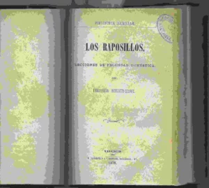 FERNANDEZ Y GONZALEZ las monedas falsas, BEECHER STOWE los raposillos 1878, EMELINA RAYMOND señorita y pobre 1878, EDMUNDO DE AMICIS la vida militar 1878,