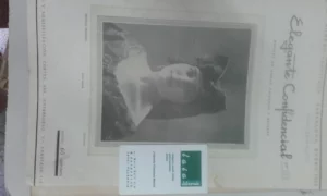 ELEGANTE, CONFIDENCIAL, REVISTA DE MODAS, PEINADOS Y BELLEZA, nos 21 a 32, año 1925 completo