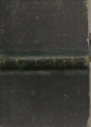 LA NOVELA COMICA trad E.M. CUENDE 226 pags, en el mismo volumen EDUARDO HERNANDEZ Y FERRER. Arrojos de la vida, 1858, 47 pags, CASIMIRO RUFINO RUIZ. Origen de la hermosura y fealdad de las españolas, 14 pags
