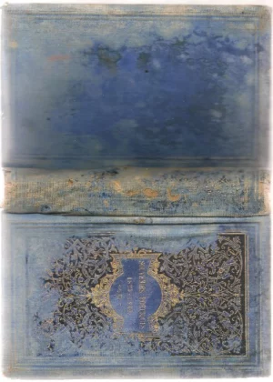 SOUVENIRS POETIQUES DE L`ECOLE ROMANTIQUE 1825 A 1840 précedés d`une notice biografique sur chacun des auteurs